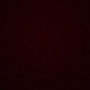 Meet your Posher, Cami